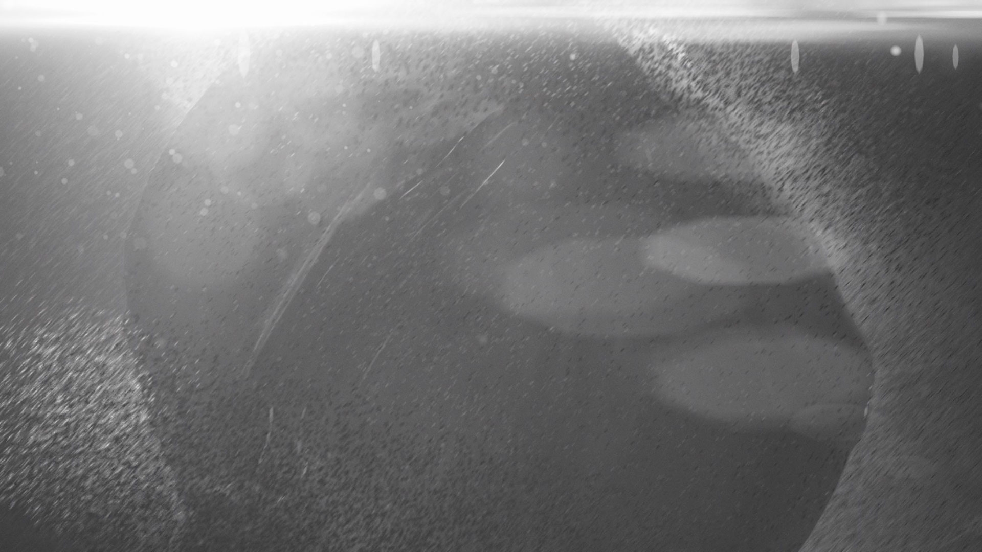 Stephan Hülsen | art director + motion designer - Hamburg | stephanhuelsen.com